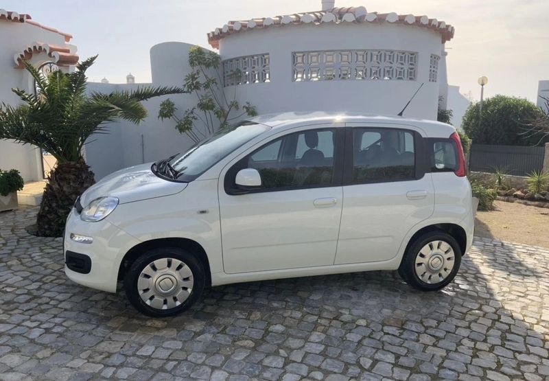 Fiat Panda • 2019 • 35,000 km 1