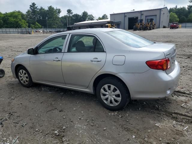 Toyota Corolla • 2010 • 10,000 mi 4