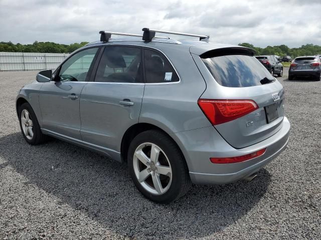 Audi Q5 • 2010 • 10,000 mi 4