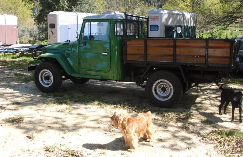 Toyota Land Cruiser • 1982 • 300,000 km 3