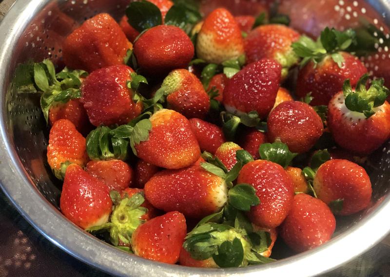 Chevrolet Aveo • 2007 • 1 km 9