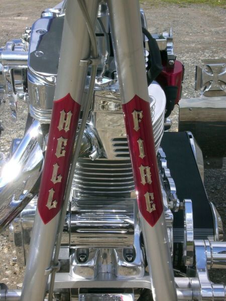 Harley Davidson custom • 2020 • 4,600 km 5