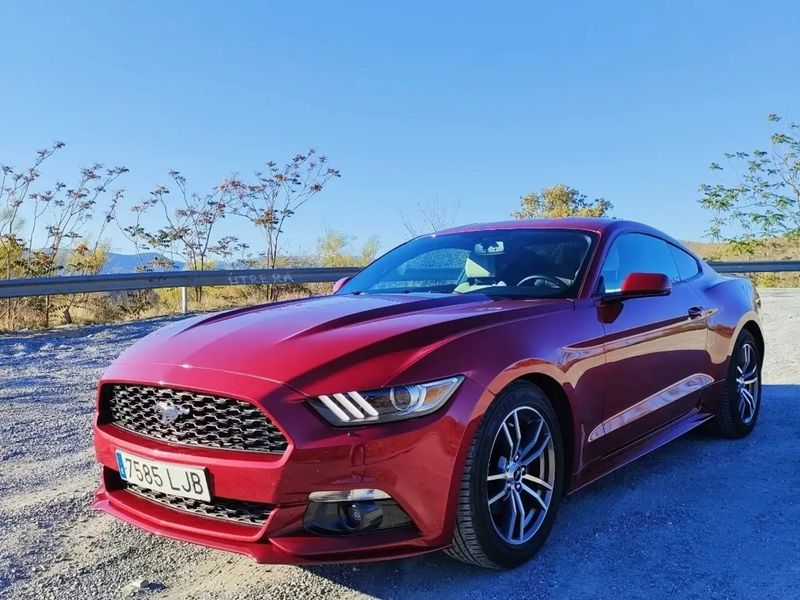 Ford Mustang • 2016 • 66,500 km 2