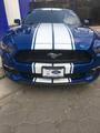 Ford Mustang • 2017 • 1,000 km 3