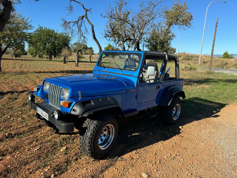 Jeep Wrangler • 1993 • 140,000 km 5