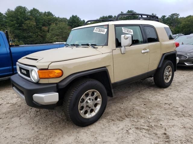 Toyota FJ Cruiser • 2011 • 10,000 mi 3