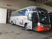 Chevrolet Luv • 2016 • 400,000 km 4