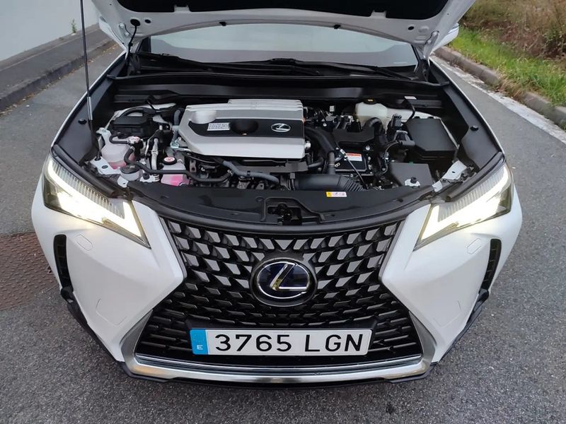 Lexus UX • 2020 • 66,000 km 12