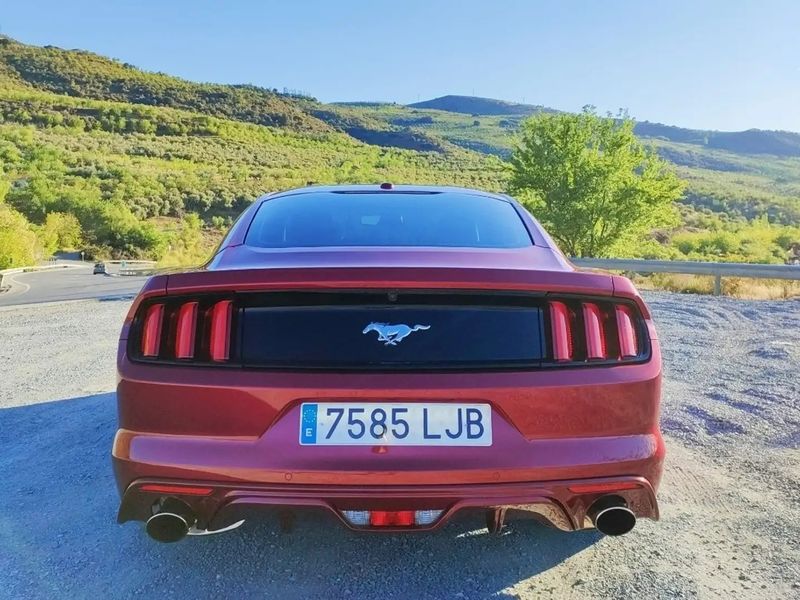 Ford Mustang • 2016 • 66,500 km 3