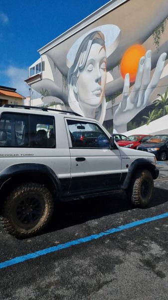Mitsubishi Pajero • 2009 • 155,000 km 2