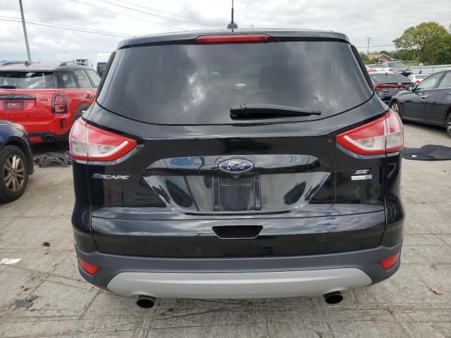 Ford Escape • 2016 • 10,000 mi 5
