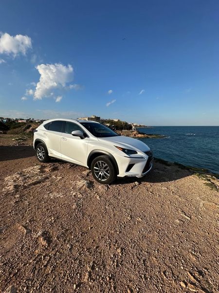 Lexus NX • 2019 • 88,500 km 1