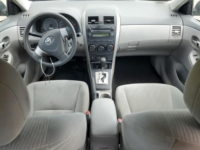 Toyota Corolla • 2010 • 10,000 mi 8