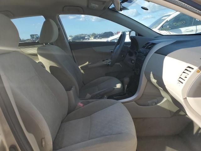 Toyota Corolla • 2009 • 33 km 6