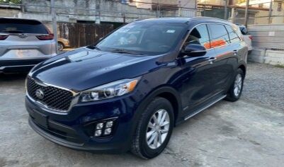 Kia Sorento • 2016 • 100 km 2