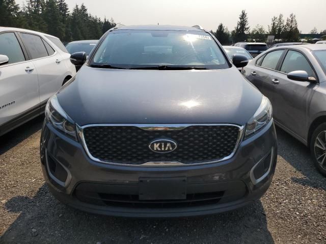 Kia Sorento • 2017 • 10,000 km 2