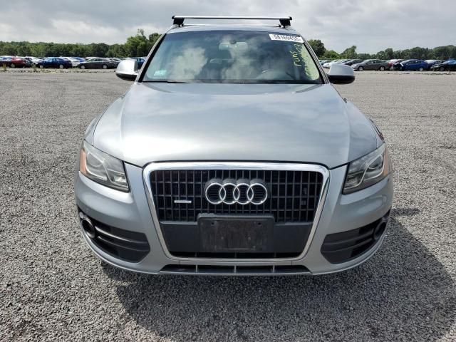 Audi Q5 • 2010 • 10,000 mi 2