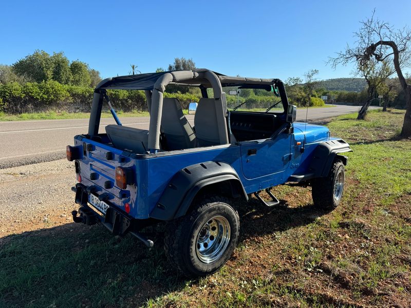 Jeep Wrangler • 1993 • 140,000 km 4