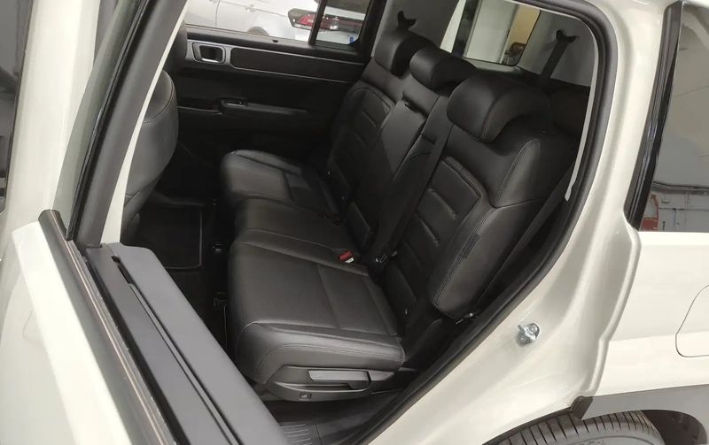 Hyundai Santa Fe • 2025 • 8,417 km 6