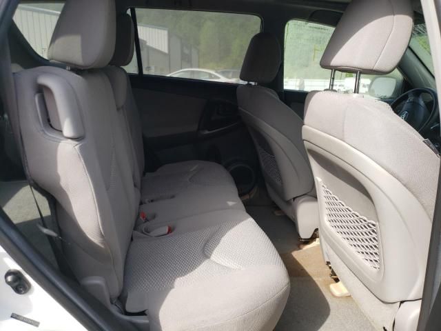 Toyota RAV4 • 2011 • 0 km 7