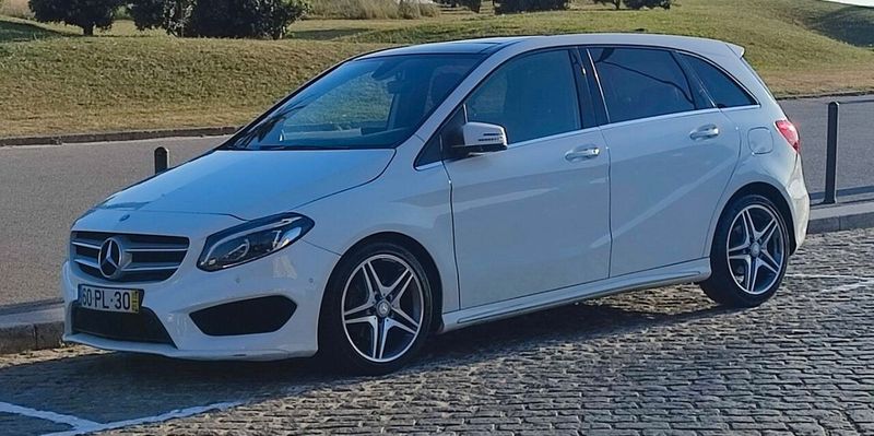 Mercedes-Benz B-Class Electric Drive • 2015 • 200,000 km 1