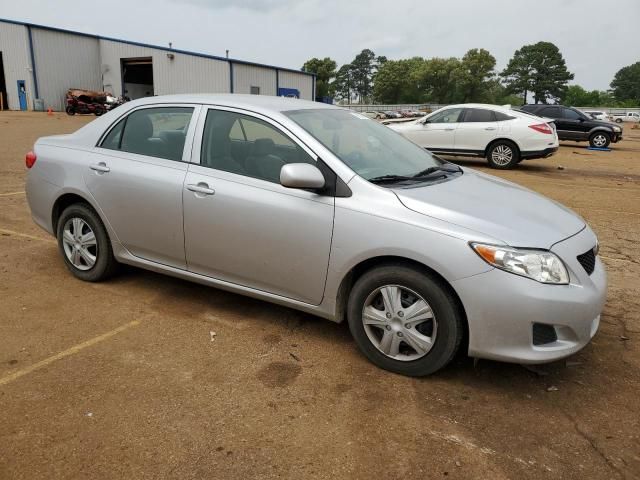 Toyota Corolla • 2010 • 10,000 mi 2
