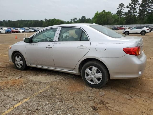 Toyota Corolla • 2010 • 10,000 mi 4