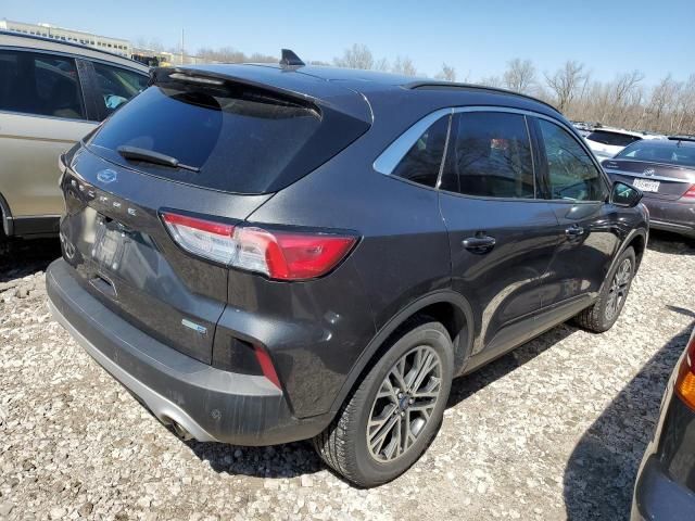 Ford Escape • 2020 • 10,000 mi 6