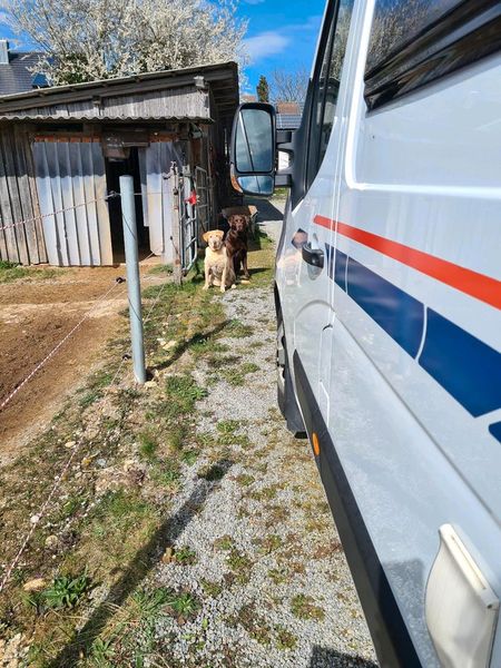 Renault Master • 2020 • 64,000 km 5