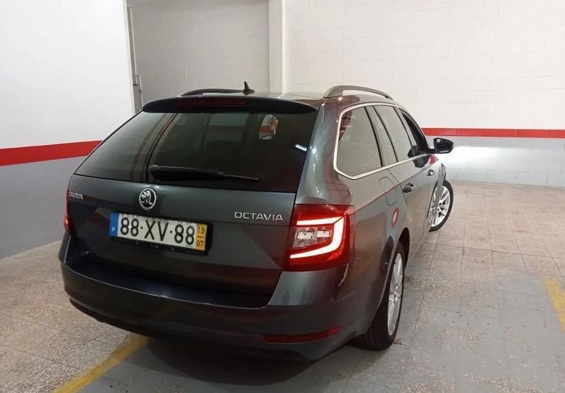 Škoda Octavia • 2019 • 97,047 km 2