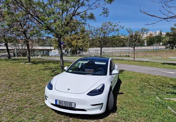 Tesla Model 3 • 2022 • 14,000 km 1