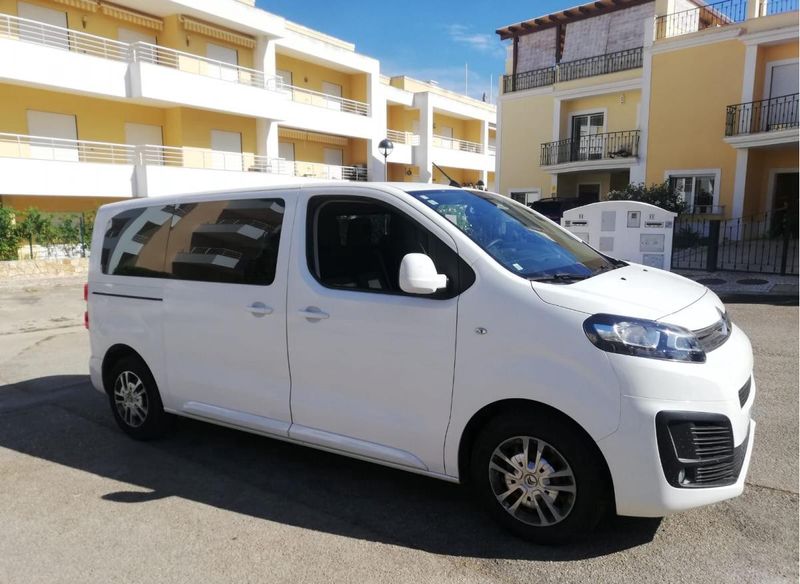 Citroën Jumpy • 2018 • 50,000 km 1