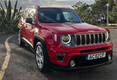Jeep Renegade • 2020 • 109,000 km 2