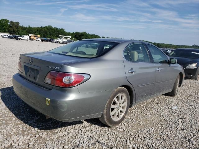 Lexus ES • 2002 • 100 km 4