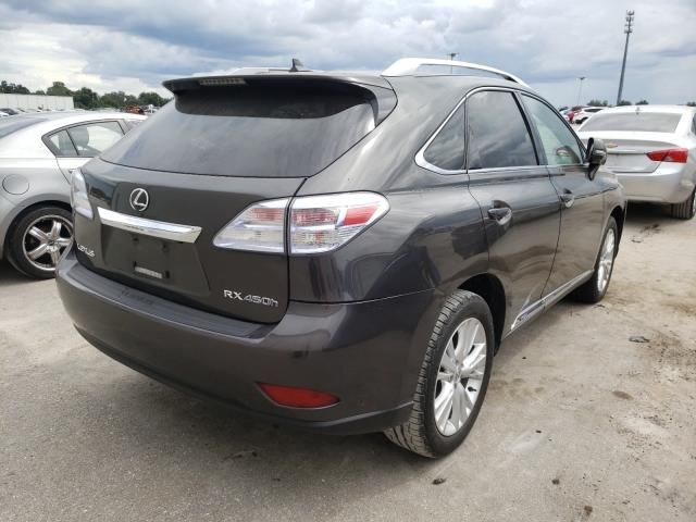 Lexus RX 400h • 2020 • 44,601 km 2
