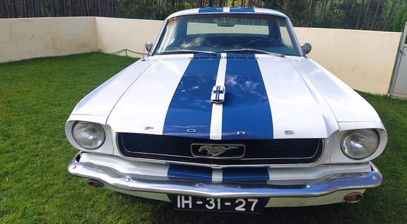 Ford Mustang • 1966 • 141,000 km 1