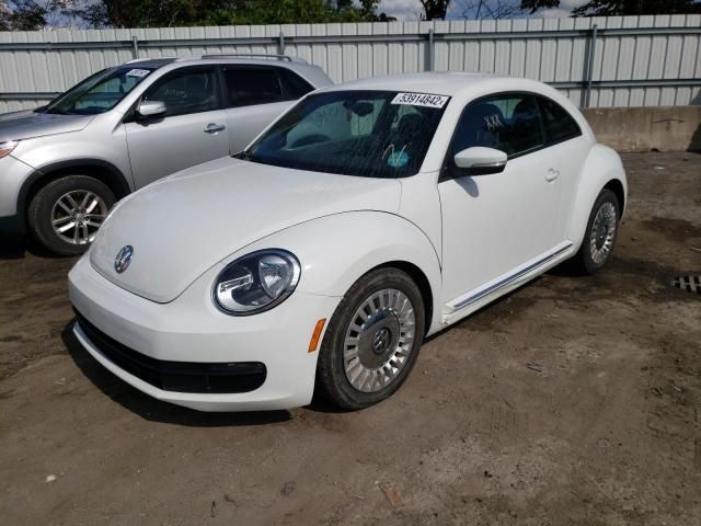 Volkswagen Beetle • 2016 • 10,000 mi 2