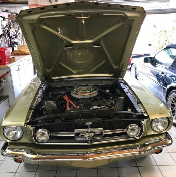 Ford Mustang • 1966 • 9,999 km 8