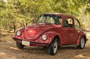 Volkswagen Beetle • 2003 • 96,000 km 2