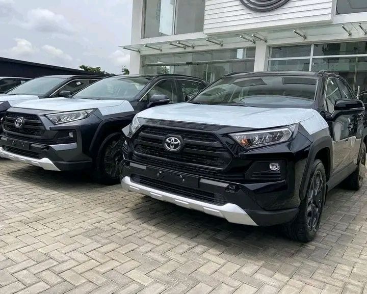 Toyota RAV4 EV • 2018 • 50,000 km 1