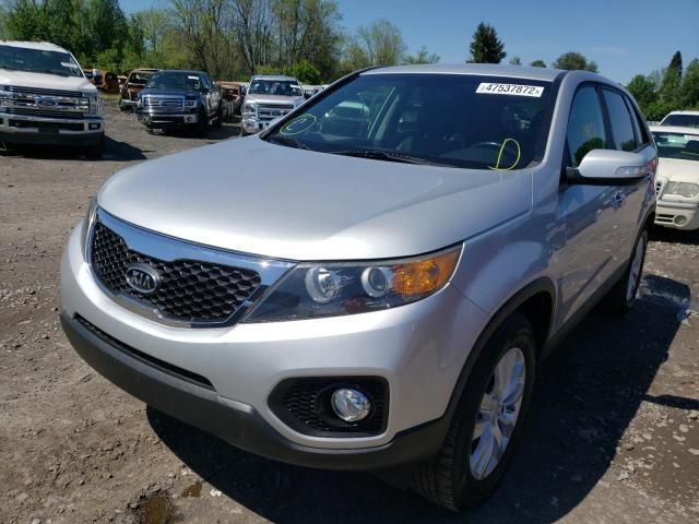 Kia Sorento • 2011 • 10,000 mi 3
