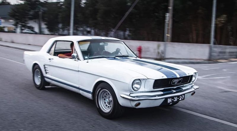 Ford Mustang • 1966 • 141,000 km 2