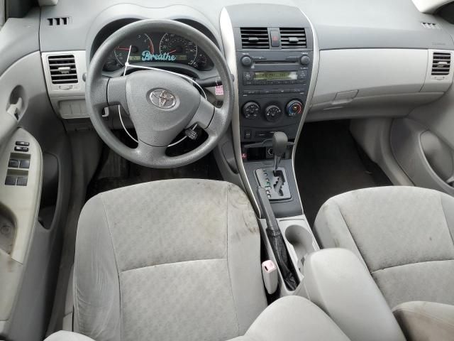 Toyota Corolla • 2009 • 10,000 mi 8