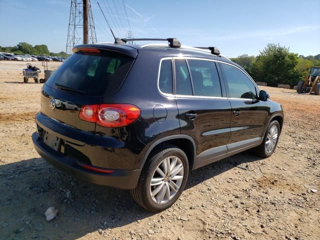 Volkswagen Tiguan Limited • 2011 • 10,000 mi 5