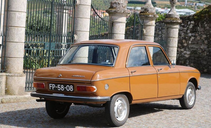 Peugeot 205 • 1980 • 100,000 km 7