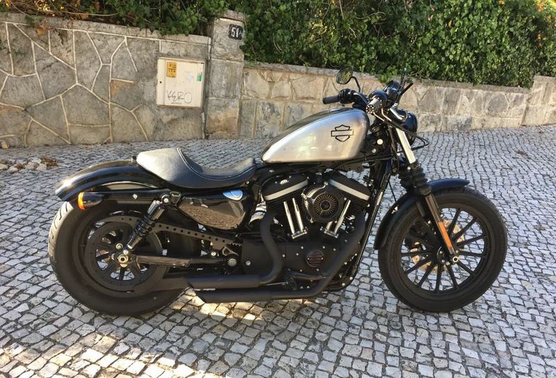 Harley Davidson xl883 • 2009 • 1,000 km 1