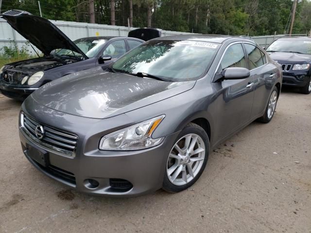 Nissan Maxima • 2014 • 10,000 mi 1