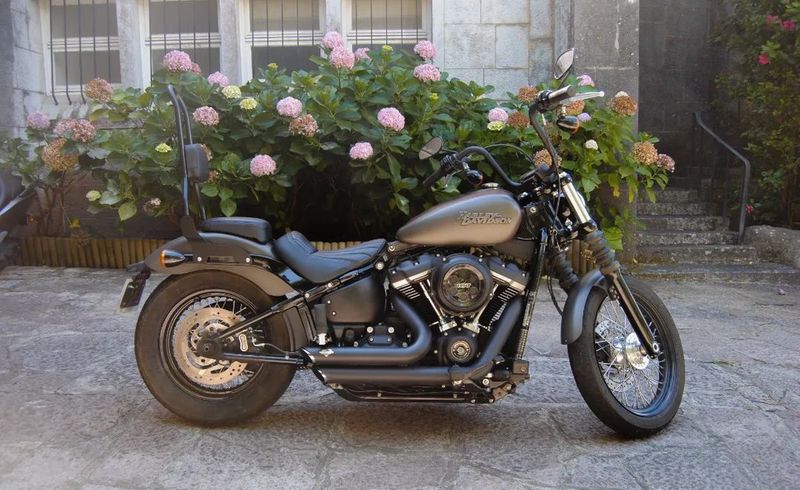Harley Davidson flstn softail • 2017 • 11,247 km 1