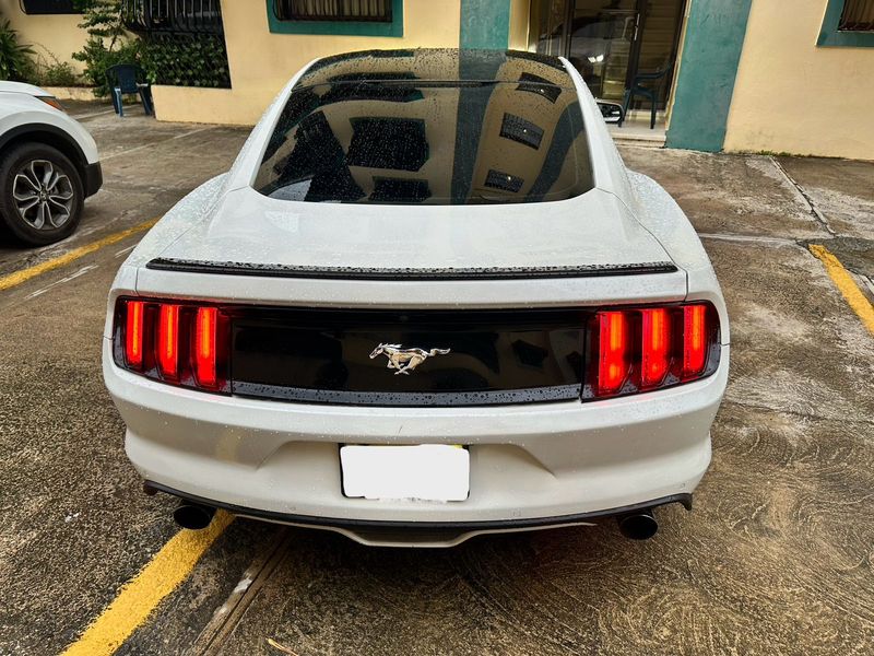 Ford Mustang • 2016 • 10,000 km 1