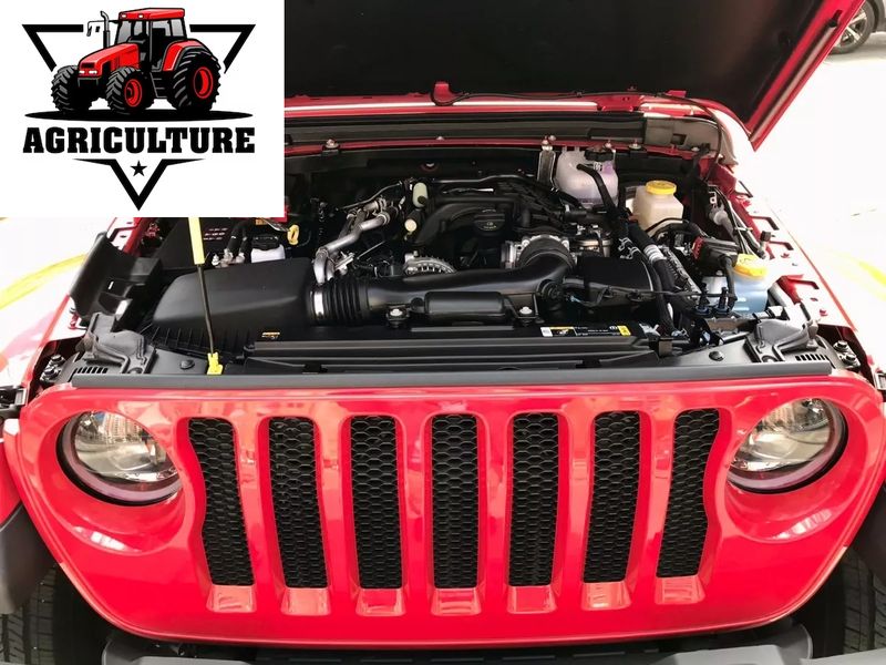 Jeep Wrangler • 2019 • 35,000 km 5